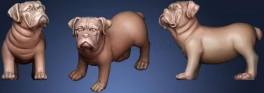 3D модель Сканирование собак Цзянь (STL)